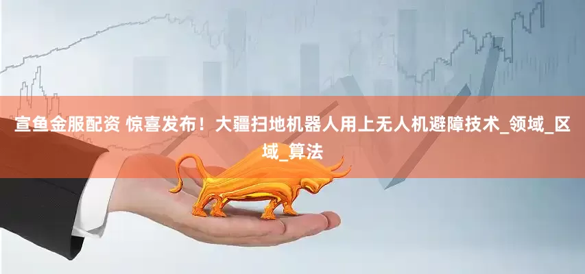 宣鱼金服配资 惊喜发布！大疆扫地机器人用上无人机避障技术_领域_区域_算法