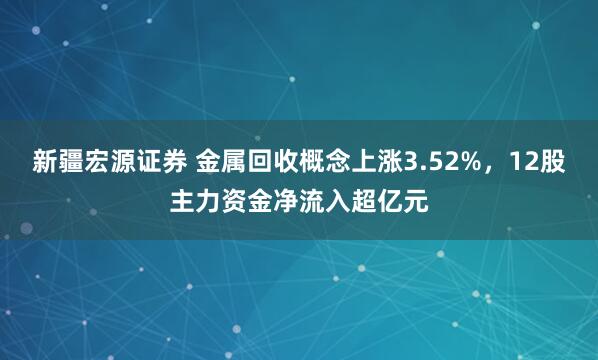 新疆宏源证券 金属回收概念上涨3.52%，12股主力资金净流入超亿元